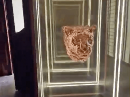 Captura de pantalla 2024-09-11 a la(s) 10.26.12 a.m.